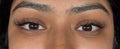 Classic Lashes