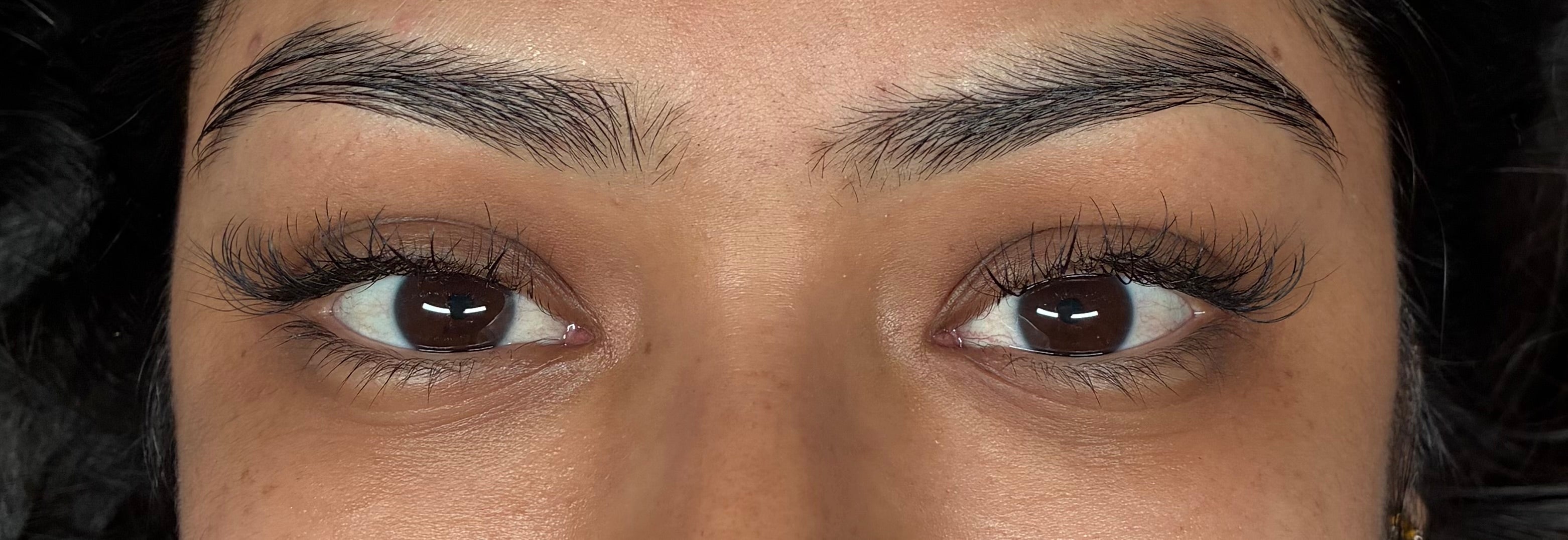 Classic Lashes